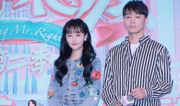 吃瓜娱乐圈小说合集